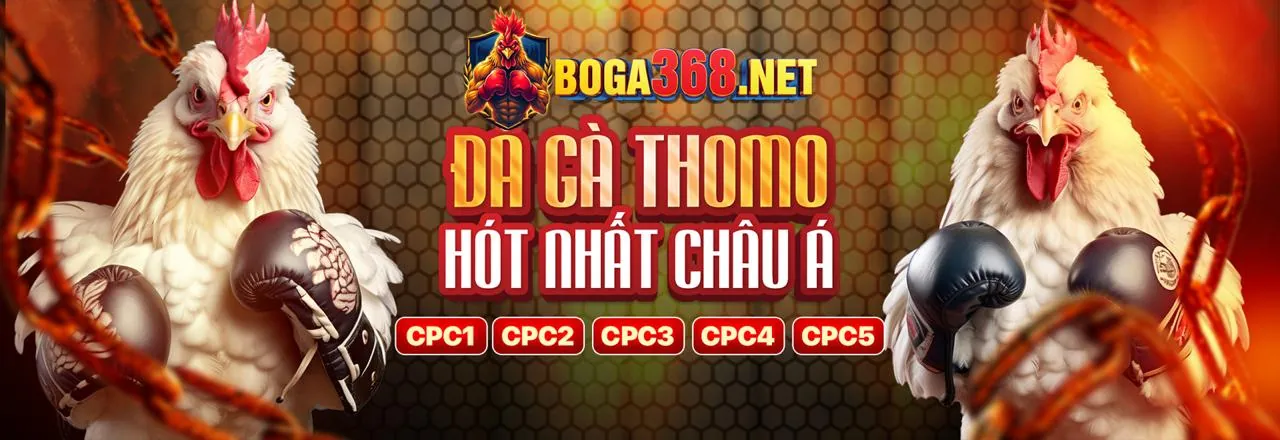 Twitter K9CC Nổ Hũ